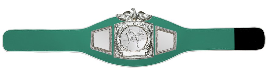 PROEAGLE THAI BOXING CHAMPIONSHIP BELT - PROEAGLE/S/TBOS - AVAILABLE IN 6+ COLOURS PROEAGLE THAI BOXING CHAMPIONSHIP BELT - PROEAGLE/S/TBOS - AVAILABLE IN 6+ COLOURS